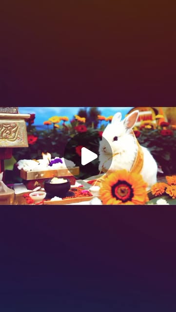 Vaishaliadwant's tweet card. Twisty Pearl Productions (@twistypearlproductions) • Instagram reel