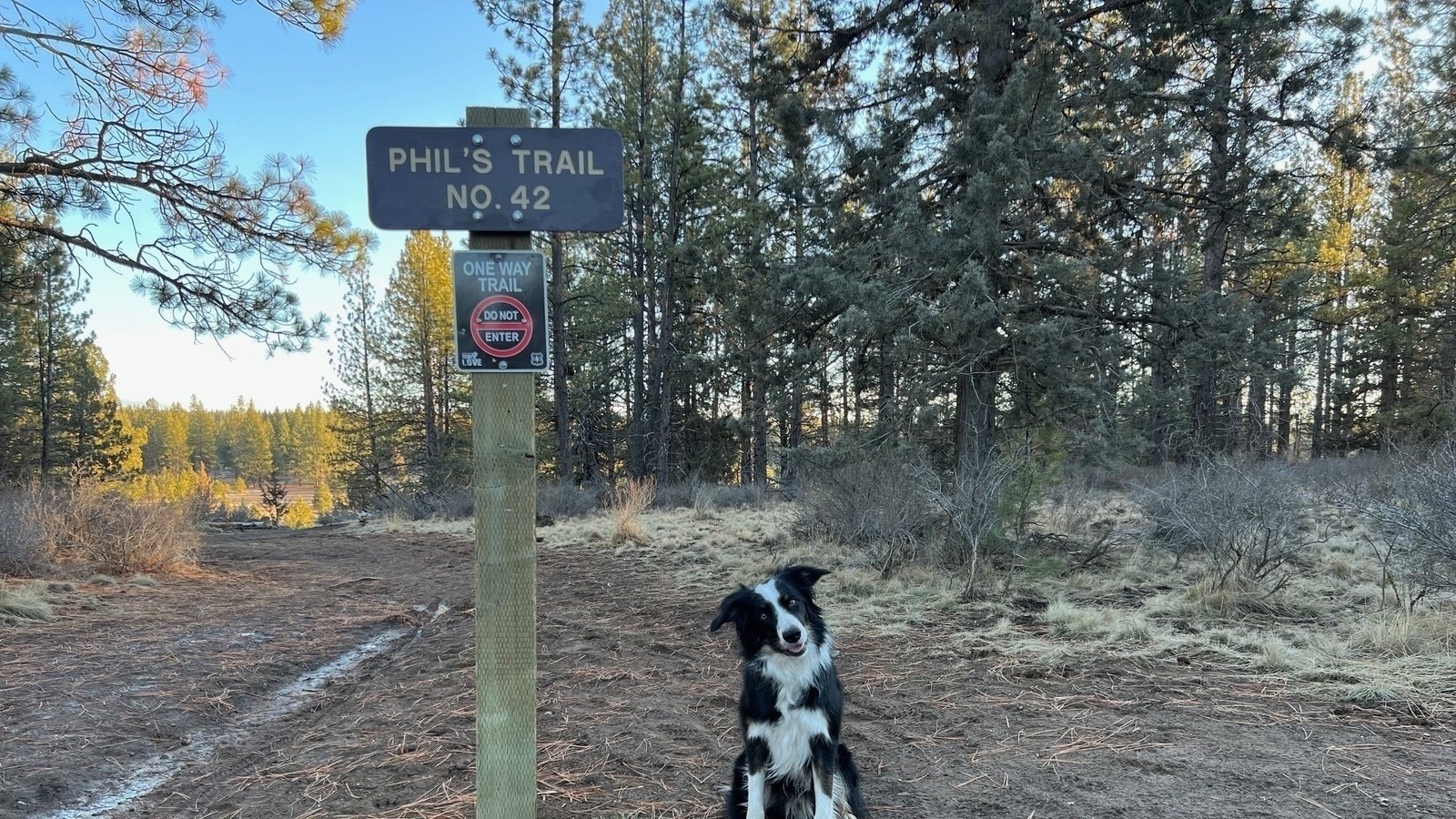 TimFettkether's tweet card. Close The Gate At Phil's Trail !