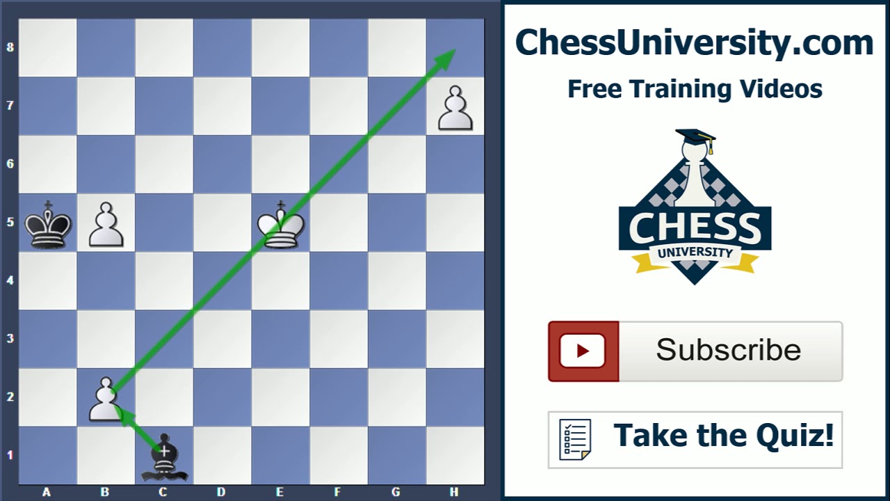 ChessUniversity's tweet card. Endgame Art #3