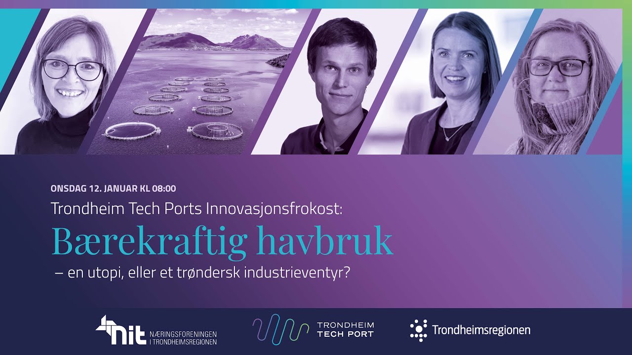 TrdTechPort's tweet card. Innovasjonsfrokost: Bærekraftig havbruk– en utopi, eller et trøndersk...