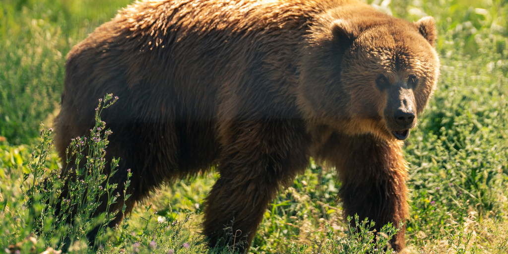 NBCNews's tweet card. Two people were critically injured and two had serious injuries, authorities initially said.