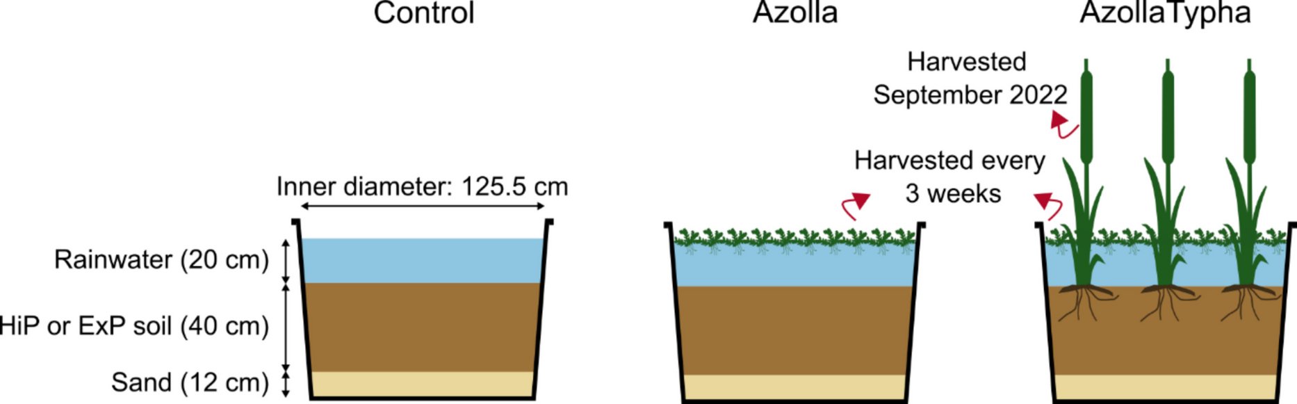 MethaneNet's tweet card. Plant and Soil - Restoration and novel creation of wetlands is crucial as they store and purify water, sequester carbon, and are biodiversity hotspots. However, wetland rehabilitation on...