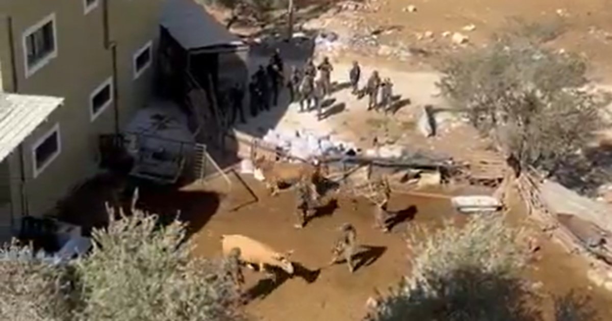 haaretzcom's tweet card. ***