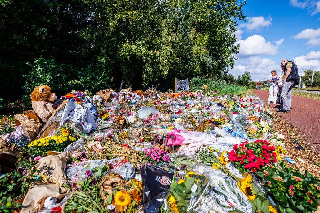 geenstijl's tweet card. Meer informatie, niet per se minder [onduidelijkheid](https://www.geenstijl.nl/5186796/identiteit-verdachte-lisa)