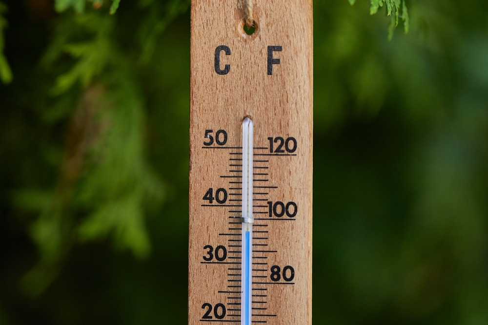 bowhayestrees's tweet card. Struggling to keep your young trees happy in the heat? 🌡️ Discover easy tips to water and care for trees during hot weather! 🌳 #GardeningTips #TreeCare #UKGardens
