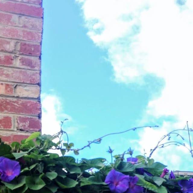 MTSC_study's tweet card. MTSC留学センター (@mtsc_au) • Instagram photo