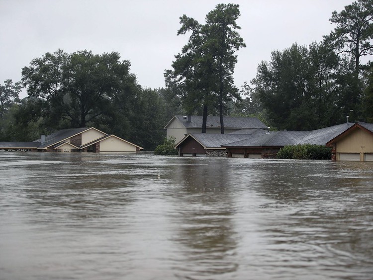 Fran_Defence's tweet card. No city can survive 50 inches of rain unscathed. But Houston is especially prone to floods.