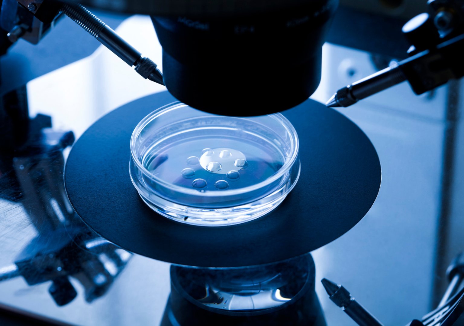 EngAustralia's tweet card. The one treatment available for male infertility is extremely difficult to perform. But a new, streamlined approach to the process