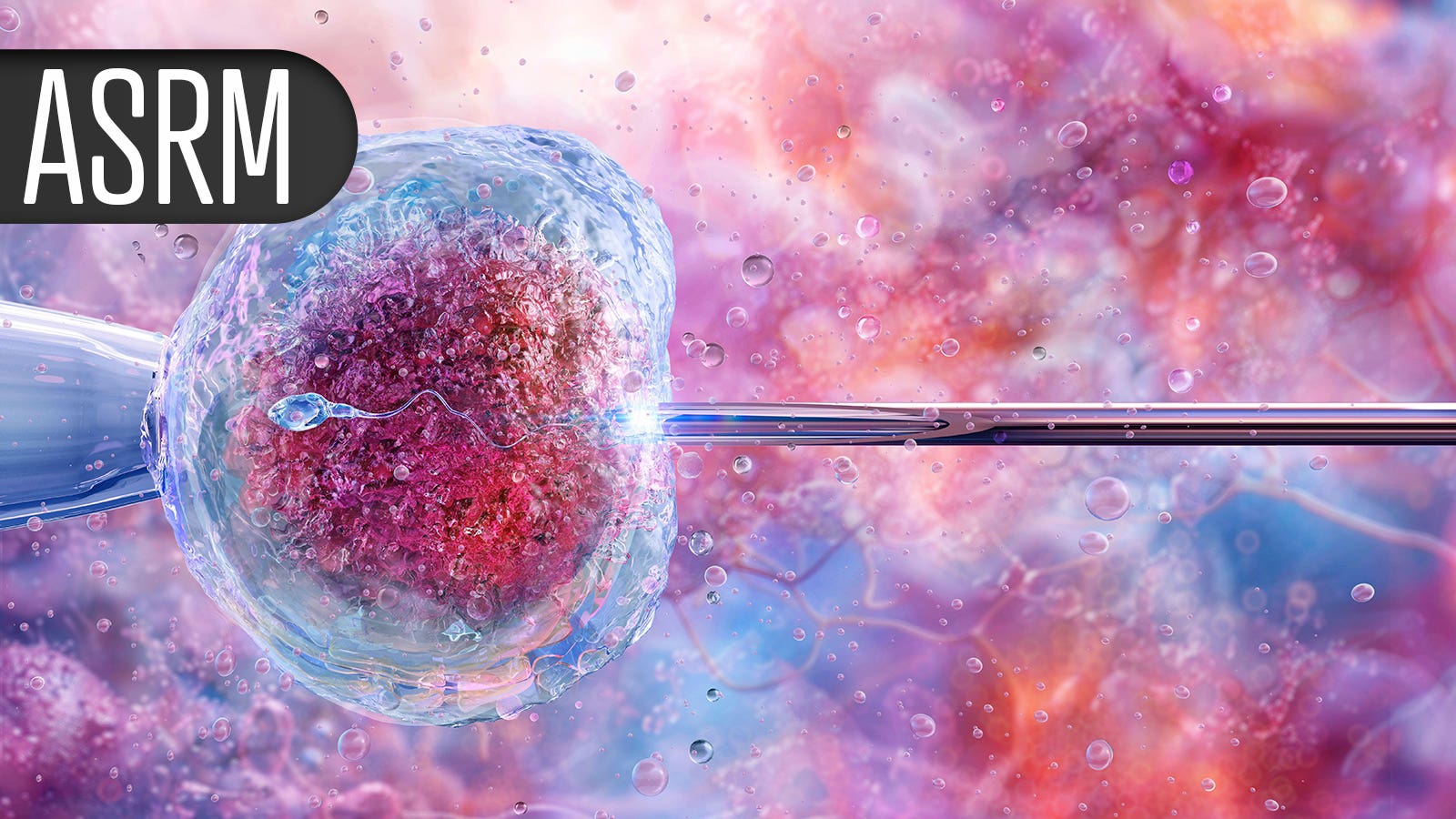 Loose_Lab_Rat's tweet card. Racial gaps exist, but may be explained by disparities in insurance coverage