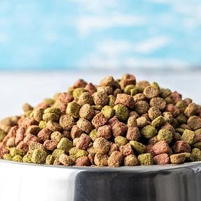 stoolaxx's tweet card. ‎STOOLAXX | اِستولَکس (@stoolaxx)‎ • Instagram photo