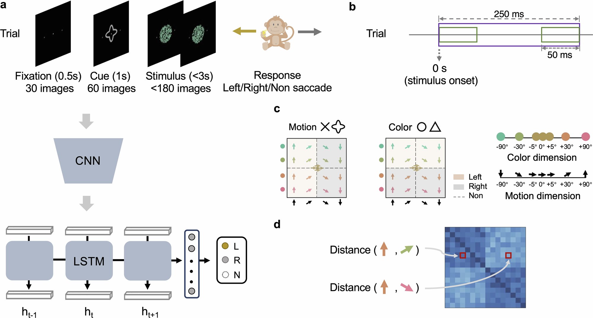 MillerLabMIT's tweet card. Nature Communications - How the brain adapts its representations to prioritize task-relevant information remains unclear. Here, the authors show that both monkey brains and deep learning models...