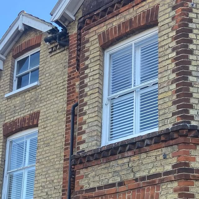 theshuttertree's tweet card. Amaya Reynolds - The Shutter Tree (@theshuttertree) • Instagram photo