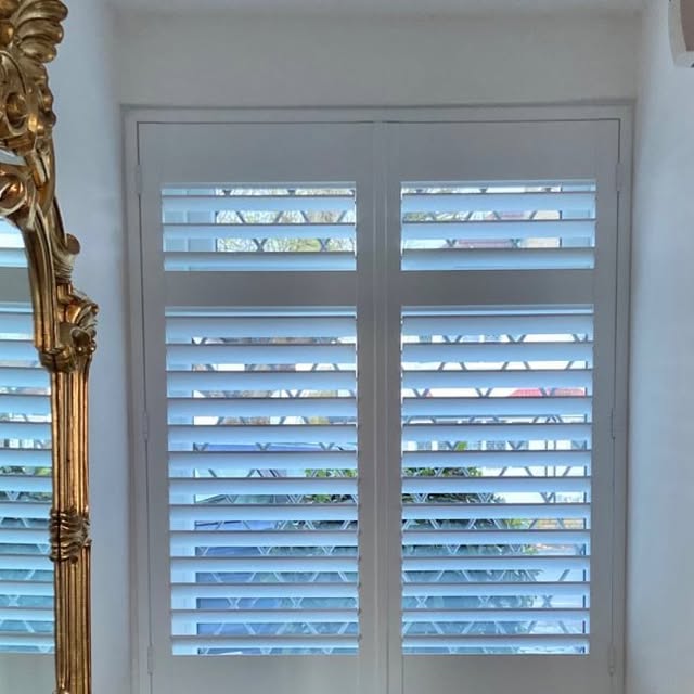 theshuttertree's tweet card. Amaya Reynolds - The Shutter Tree (@theshuttertree) • Instagram photos and videos