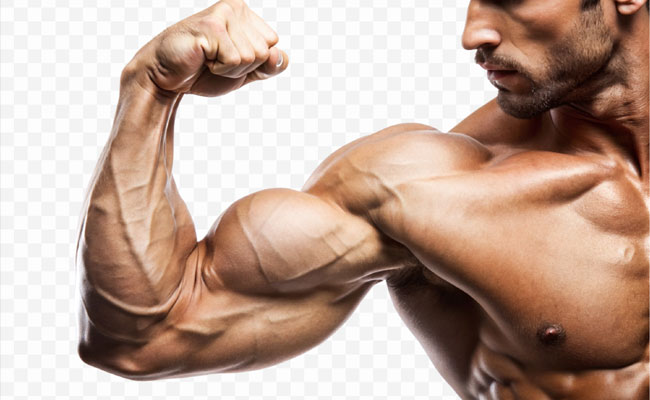 sakshinews's tweet card. సాక్షి లైఫ్ : మన శరీరంలో దాదాపు 650 కండరాలు ఉంటాయి. ఇవి కేవలం మన కదలికలకే కాదు, మన మొత్తం ఆరోగ్యానికి, శరీర ఆకృతికి కూడా చాలా కీలకం. బలమైన కండరాలు మిమ్మల్ని దృఢంగా ఉంచడమే కాకుండా, అనేక ఆరోగ్య సమస్యల...