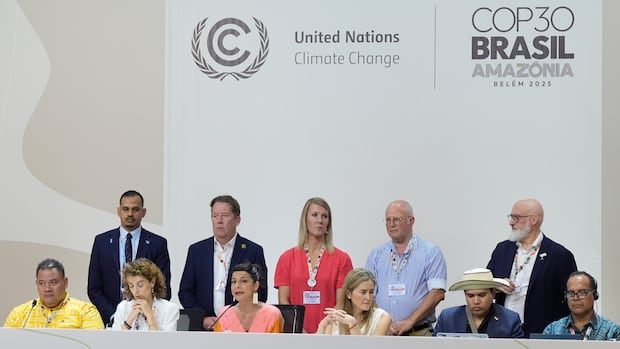 Seniors_CAN's tweet card. The UN climate summit was headed for a showdown on Friday over the future of fossil fuels, after host Brazil dropped efforts to develop a global plan to shift away from oil, gas and coal from its...