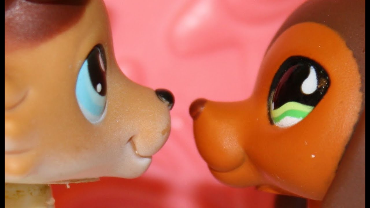 RobloxWalmart3's tweet card. Littlest Pet Shop: Popular (Episode #6: Moments of Reflection)