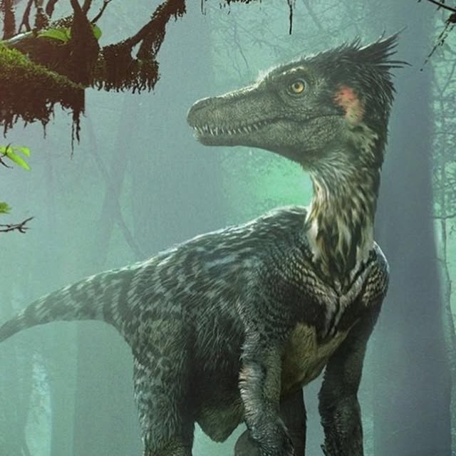 TimeForPrimeval's tweet card. Time For Primeval (@time_for_primeval) • Instagram photos and videos