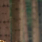 TimeForPrimeval's tweet card. Time For Primeval (@time_for_primeval) • Instagram photos and videos