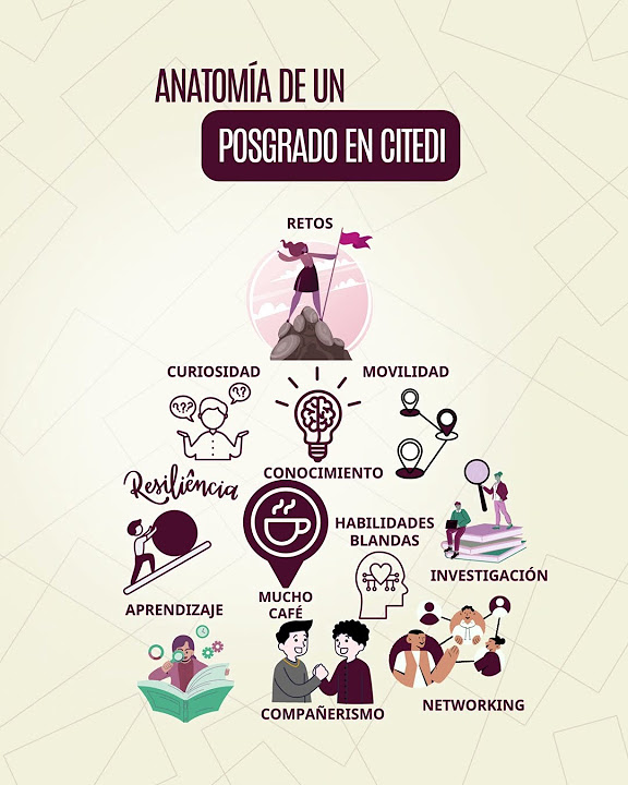 Citediipn's tweet card. Anatomía de un posgrado en Citedi
