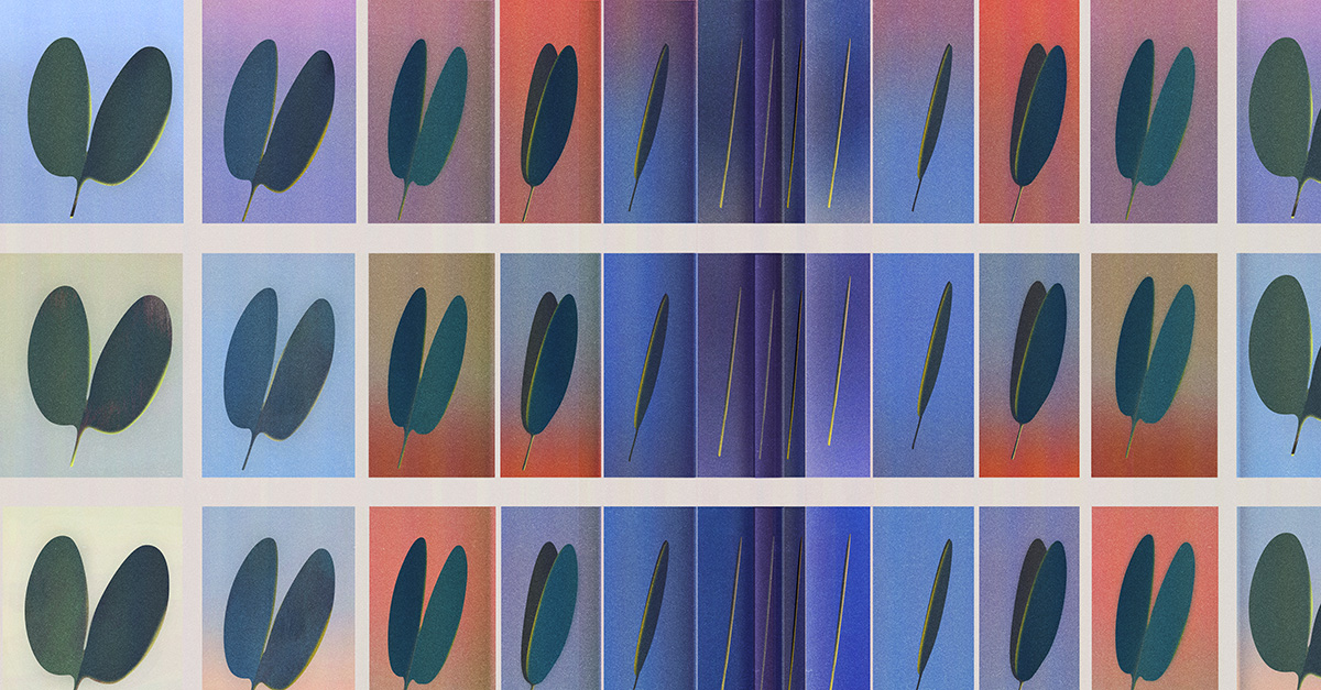 RobGMacfarlane's tweet card. Attentive to the loss of age-old ecological relationships as “wild clocks” fall out of synchronization with each other, David Farrier imagines an opportunity to renew the rhythms by which we live and...