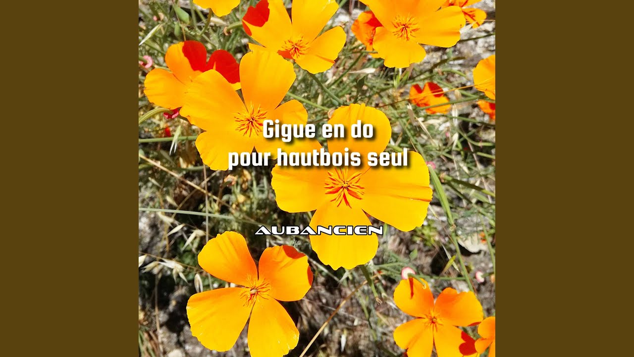 aubancien's tweet card. Gigue en do pour hautbois seul