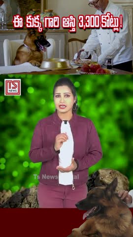 TSNewsDigital's tweet card. German Shepherd Becomes Billionaire: Inherits ₹3,300 Crore Estate! |...