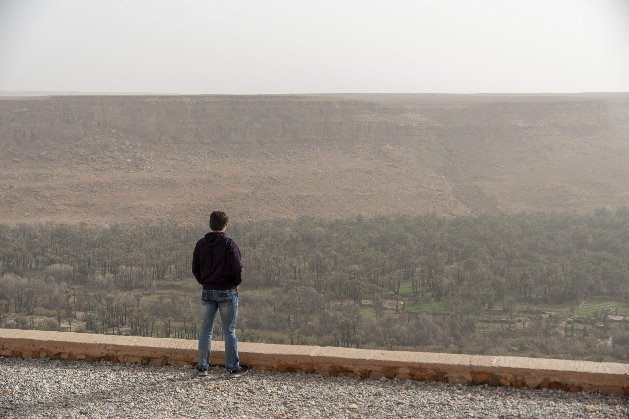 CL_USMB's tweet card. All the lonely people: The loneliness epidemic does not just affect one age group but spans all generations.