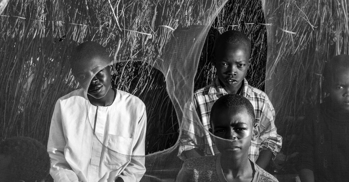 hbashirh's tweet card. As millions suffer amid famine and flight, Sudan faces genocide—yet the world barely looks on.