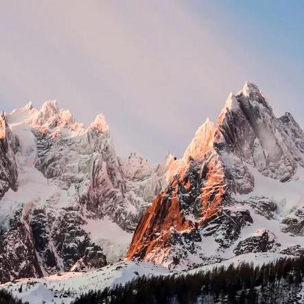 RegexTip's tweet card. The regex literals optimization avoids running the regex engine on parts of the input text that cannot possibly ever match the regex.