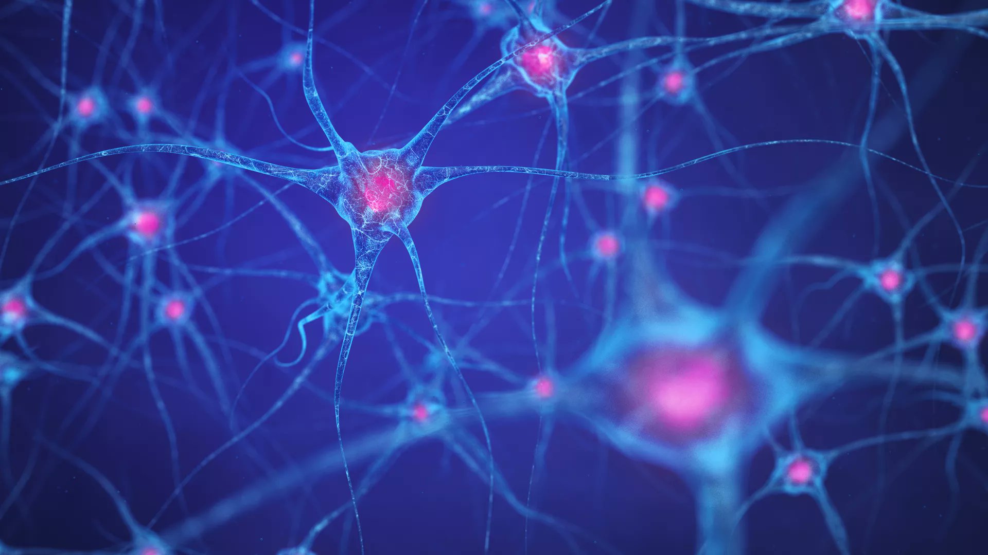 FrontNeurosci's tweet card. IntroductionCaffeine is the most widely consumed psychoactive substance, and its stimulant properties are well documented, but few investigations have examin...