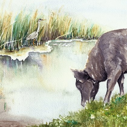 Tweet card summary image