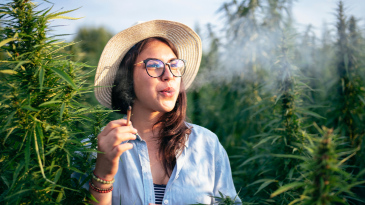 NORML's tweet card. Help NORML better represent cannabis consumer interests