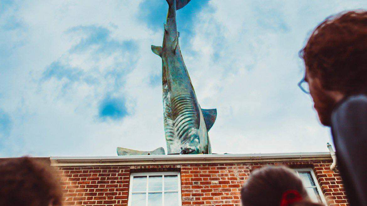 bytorchlight's tweet card. Concert Galleries, Concert Reviews, Event Coverage, Album Reviews