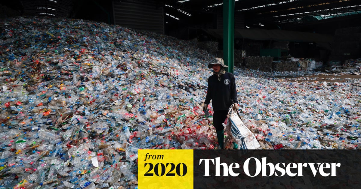 FreeDistillery's tweet card. Carlsberg and Coca-Cola back pioneering project to make ‘all-plant’ drinks bottles