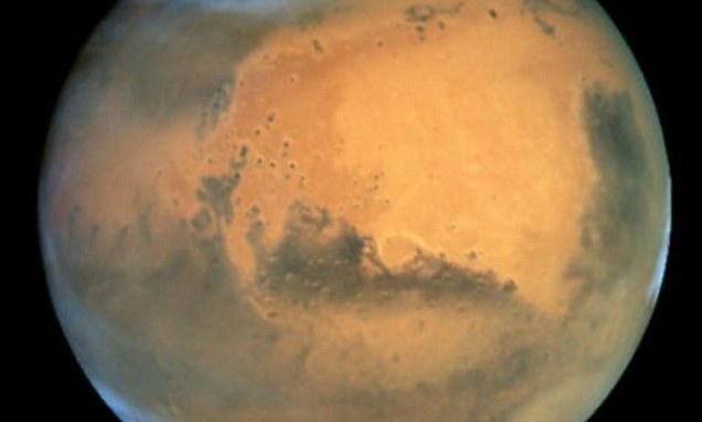 nipunscorp's tweet card. The Fatwa – or ruling – was issued by the General Authority of Islamic Affairs and Endowment (GAIAE) in the UAE.