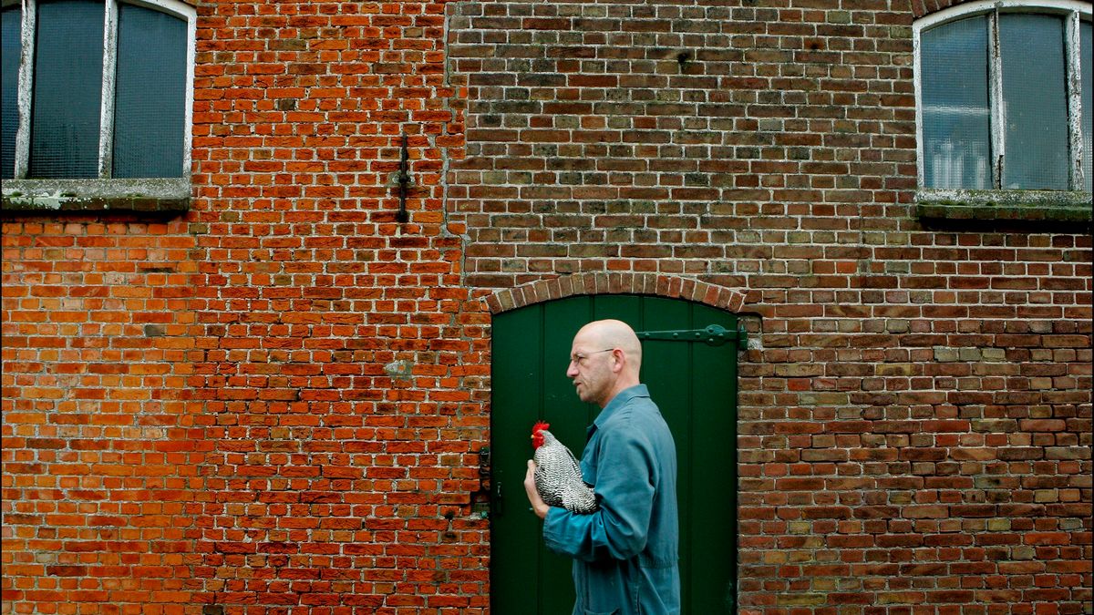 Back2Basics_PII's tweet card. Door vogelgriep bij een hobbyhouder in Terhole liggen vijf pluimveebedrijven gefrustreerd stil.