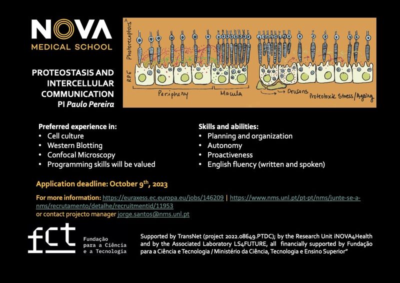 EVCA_Twinning's tweet card. Call for Postdoc position at NOVA Medical School - Faculdade de Ciências Médicas in Paulo Pereira research group. The chosen candidate will certainly have the opportunity to join us on our #EVCA_Tw...