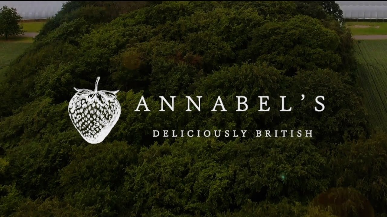 HaloVue's tweet card. Annabels Deliciously British Strawberries and her stunning farm in...