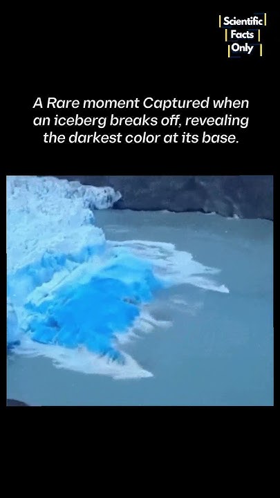Tech_Deceptoris's tweet card. Rare Moment Captured Revealing The Darkest Color Of Iceberg in the...