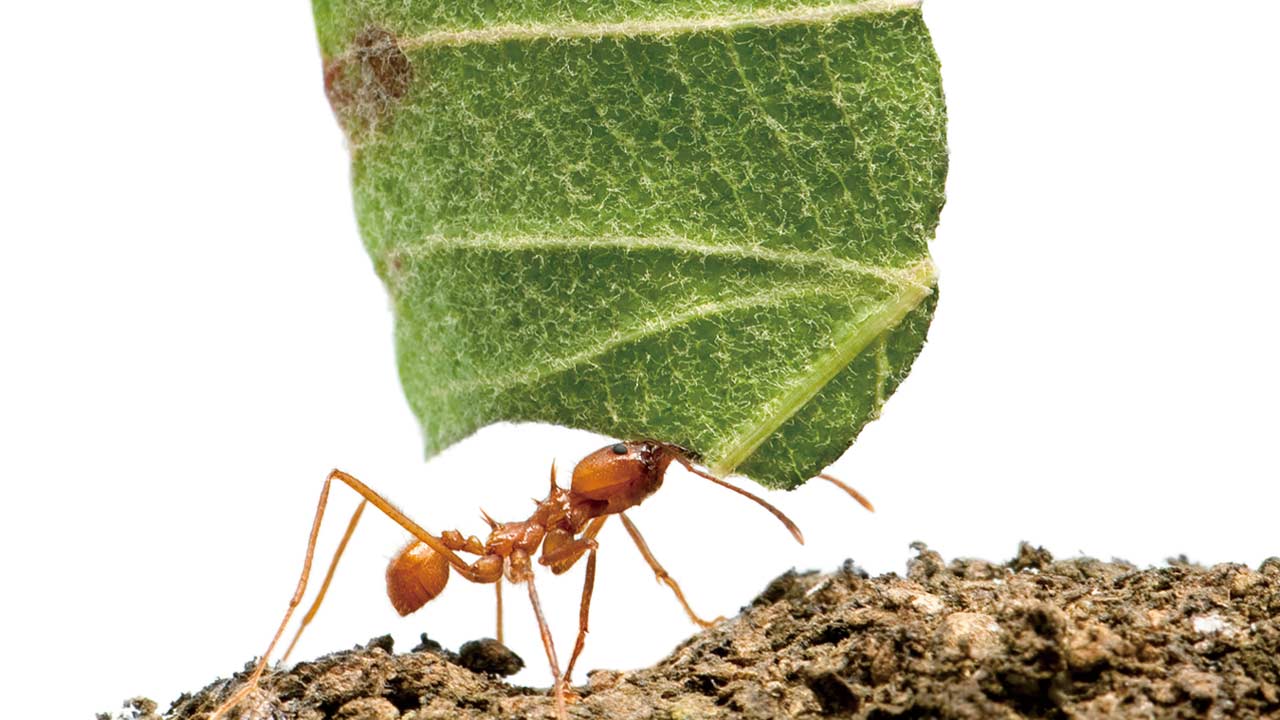 CosmotecWemo's tweet card. 良い技術や、強い資産はあるのに事業に生かしきれていない。そんなときにデザインは「てこ」となり、物事を動かすきっかけを与えてくれる。企画や開発の上流でこそ、デザイナーの持つ観察力や表現力が大きな価値を発揮する。