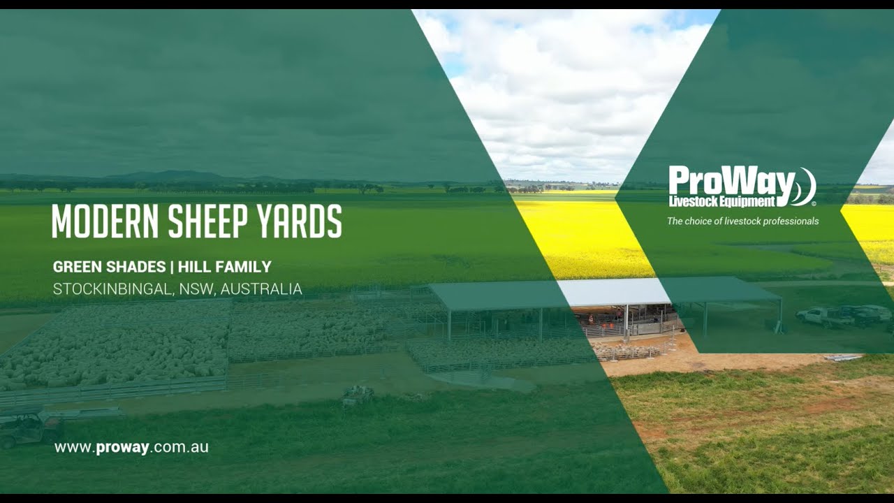 ProWay2000's tweet card. ProWay Sheep Yards | Green Shades | Stockinbingal NSW