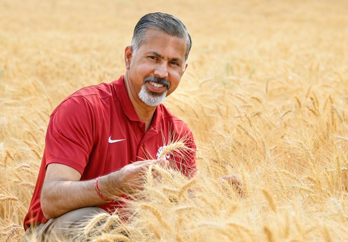 PNWAgNetwork's tweet card. The Raj Khosla tenure at Washington State University’s College of Agricultural, Human, and Natural Resource Sciences is less than three months old, but his presence is already being felt statewide.