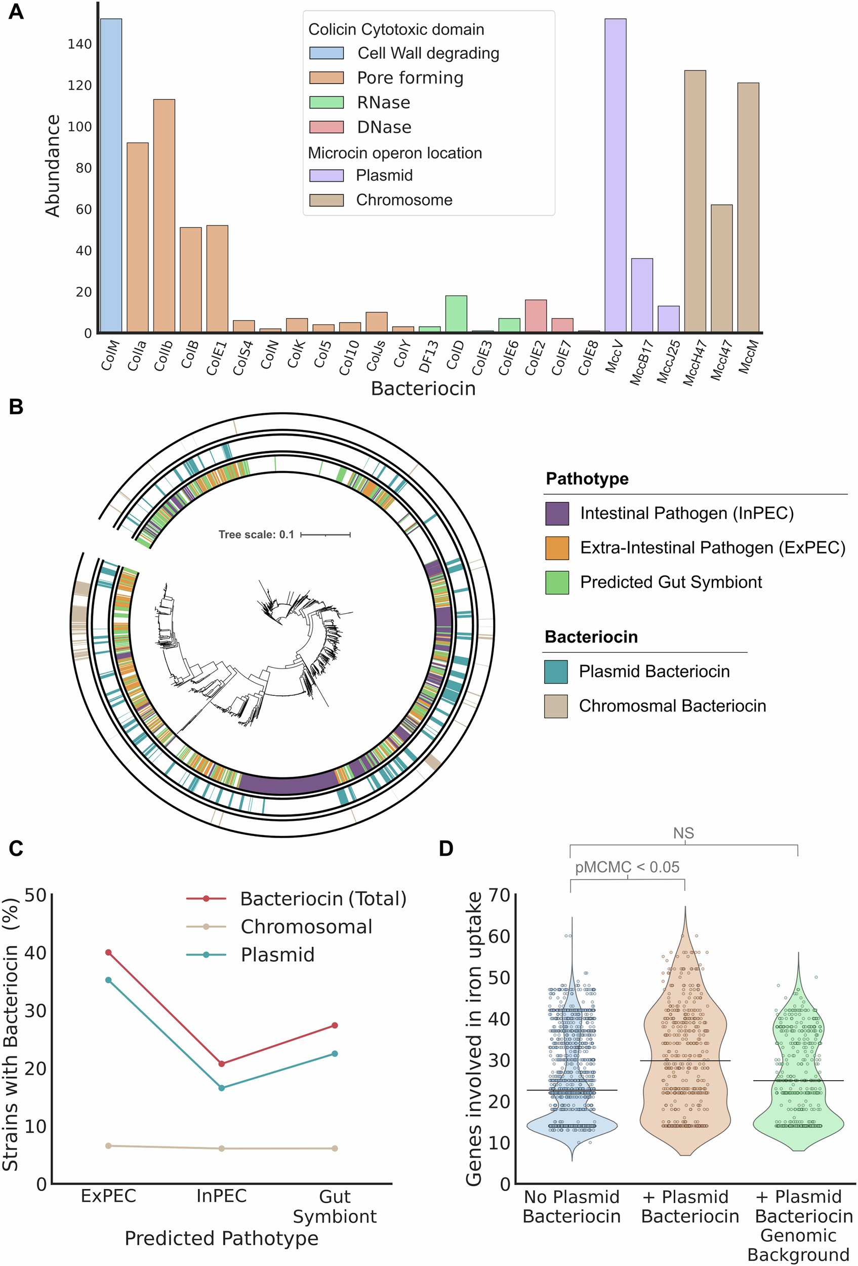 maneeshpaul's tweet card. Nature Communications - Bacteria employ a range of competition systems that deliver toxins to inhibit competing strains. This study shows that these systems are particularly important for the...