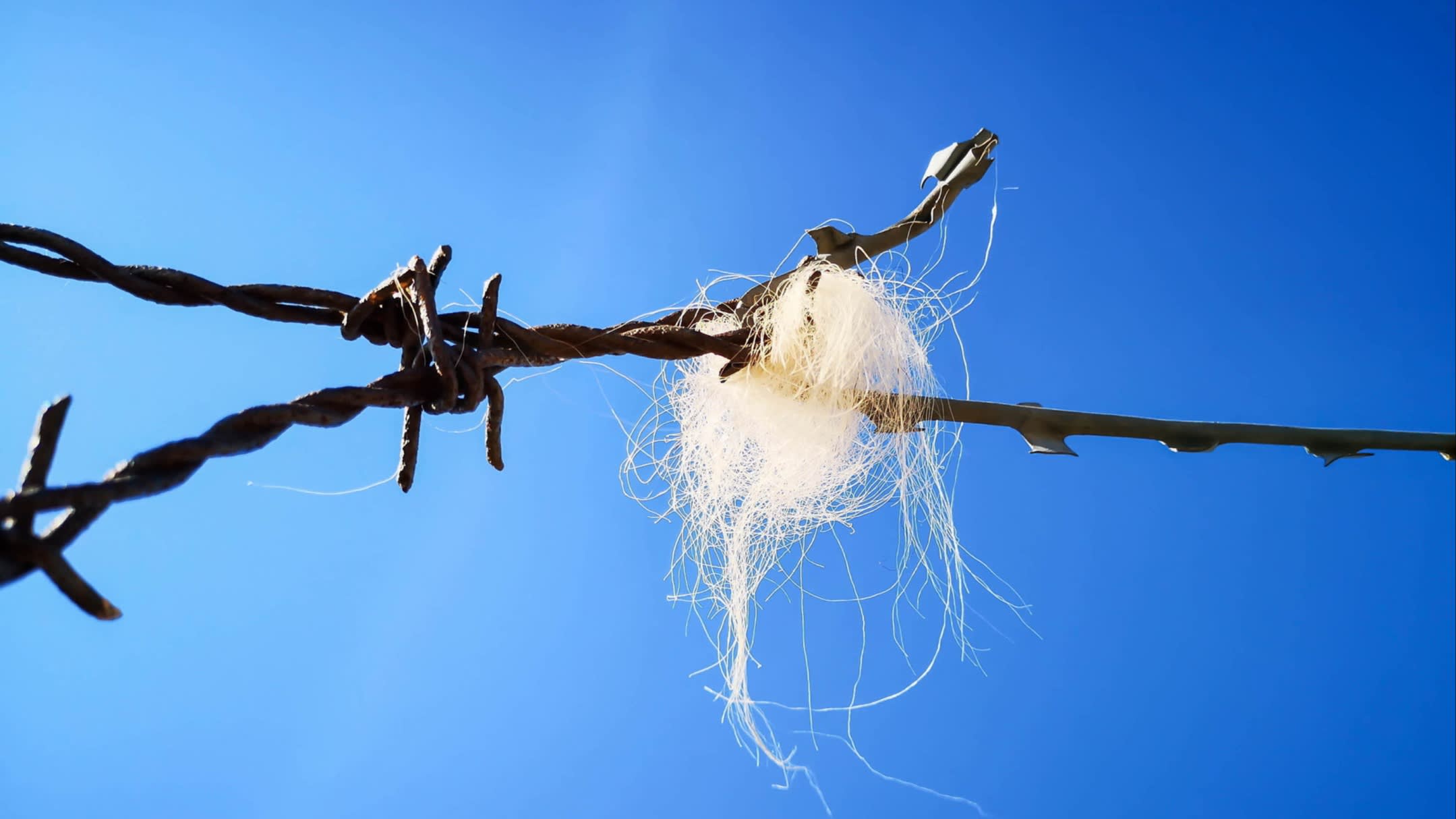 EmilyBooksBlog's tweet card. The new work from the Granta Young British Novelist compels with its macabre story and free narrative style