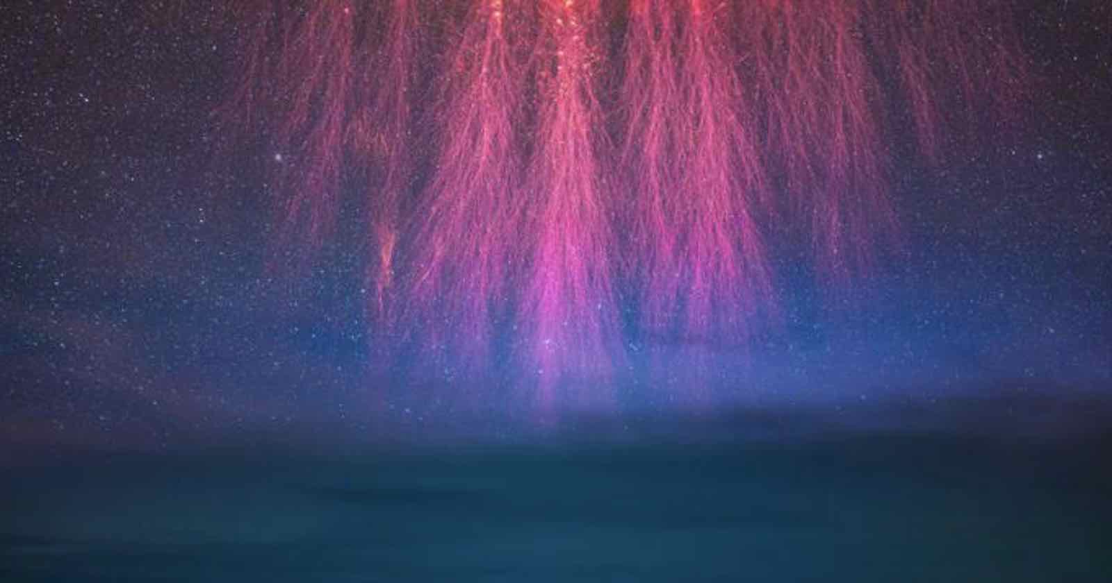 questcomputer's tweet card. Photographers and scientists unite!