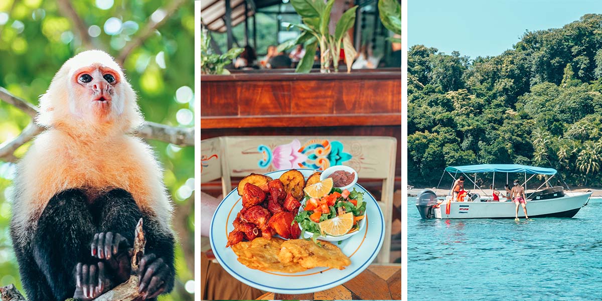 practicalwander's tweet card. This Costa Rica 2 week itinerary features 3 national parks, cloud forests and rainforests, snorkeling and swimming, ziplines and hanging bridges, volcanoes and hot springs, and plenty of wildlife!