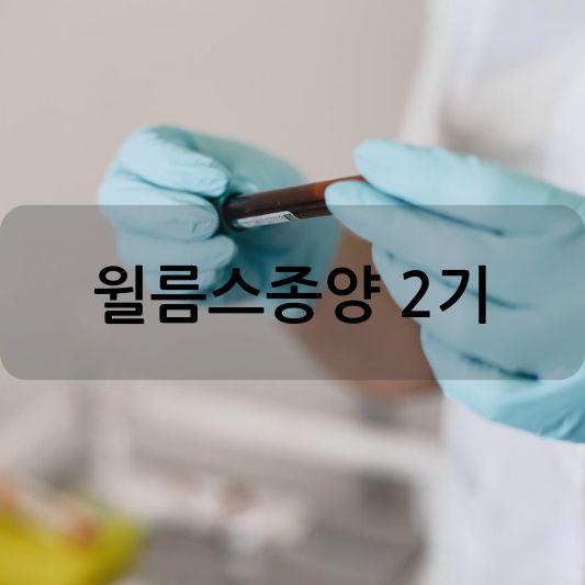 leest8940123's tweet card. 윌름스종양 2기에 대해 알아보겠습니다. 윌름스종양은 주로 어린이에게 발생하는 신장암으로, 조기에 발견하고 치료하면 좋은 예후를 보이는 경우가 많습니다. 그럼 순서대로 각각의 주제를 다루어 보겠습니다.