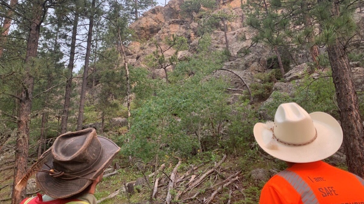 midwestlithium's tweet card. While the Black Hills have historically been known to produce minerals other than gold and silver, companies are returning to map what else may exist. 