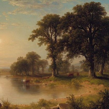 Tweet card summary image