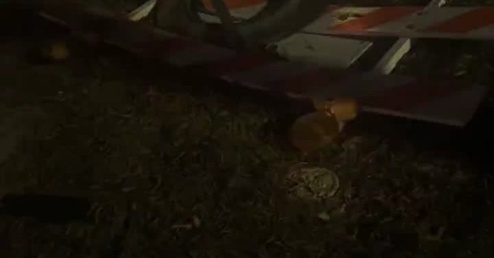 Tweet card summary image